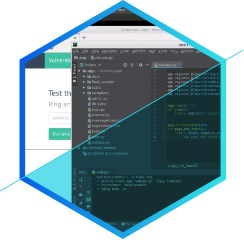 SecureFlag - Secure Coding Training platform for Developers, QA and ...